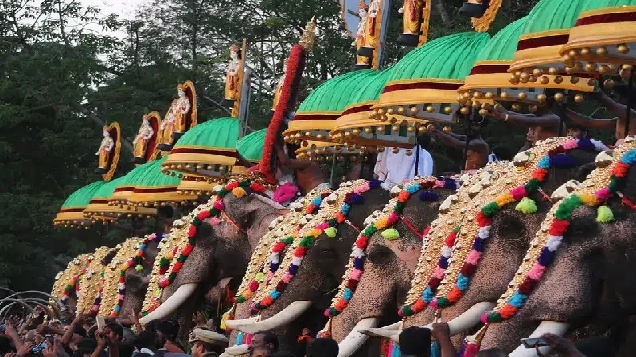Thrissur Cultural Carnival Celebration